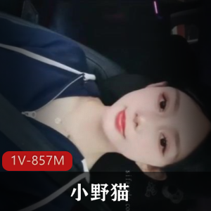 开豪车兼职~女主播小野猫[1V-857M]